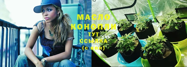 гидра Пересвет