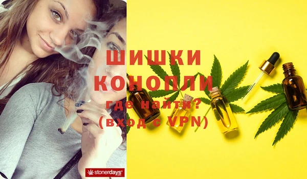 МДПВ Абаза