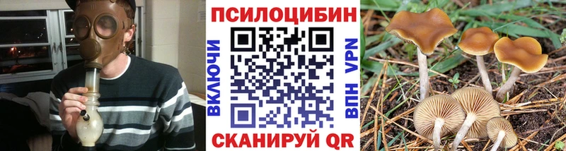 blacksprut   купить   Струнино  Псилоцибиновые грибы мицелий 